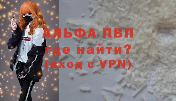 гидра Новозыбков