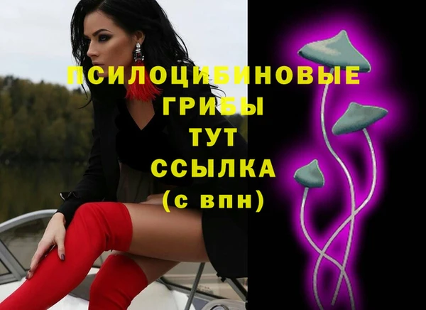 крисы Новодвинск