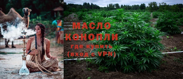 крисы Новодвинск