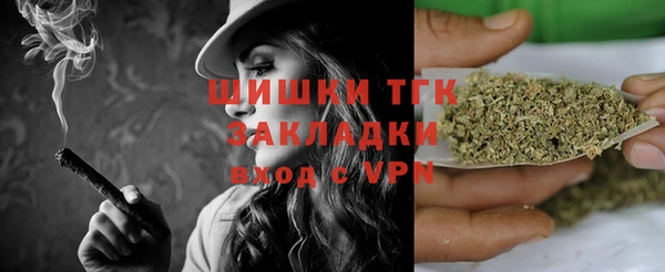 крисы Новодвинск