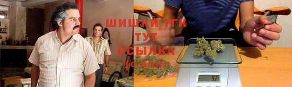 гидра Новозыбков