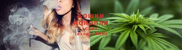 крисы Новодвинск