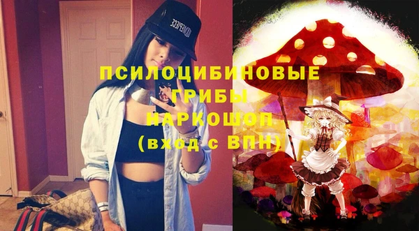 гидра Новозыбков