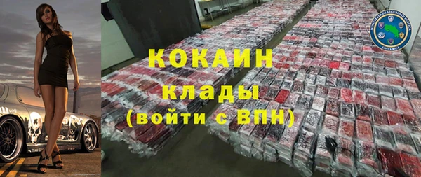 крисы Новодвинск