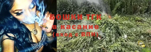 гидра Новозыбков