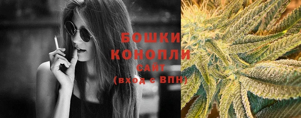 гидра Новозыбков