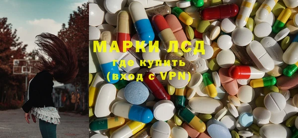 гидра Новозыбков