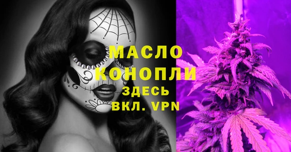 гидра Новозыбков