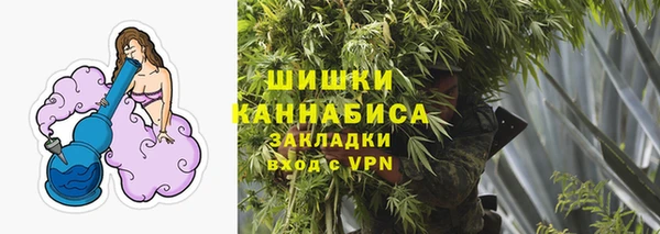 гидра Новозыбков