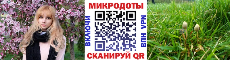Псилоцибиновые грибы GOLDEN TEACHER  Покровск 